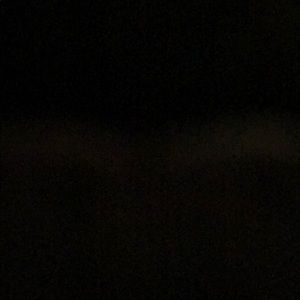 Meet your Posher, Frankie